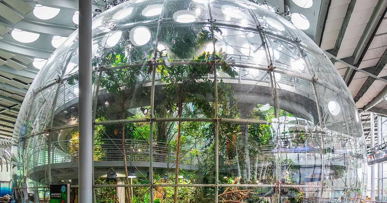 Indoor sphere greenhouse